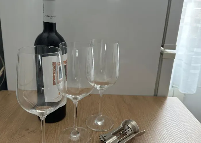 Planet Nine 公寓 蒂米什瓦拉