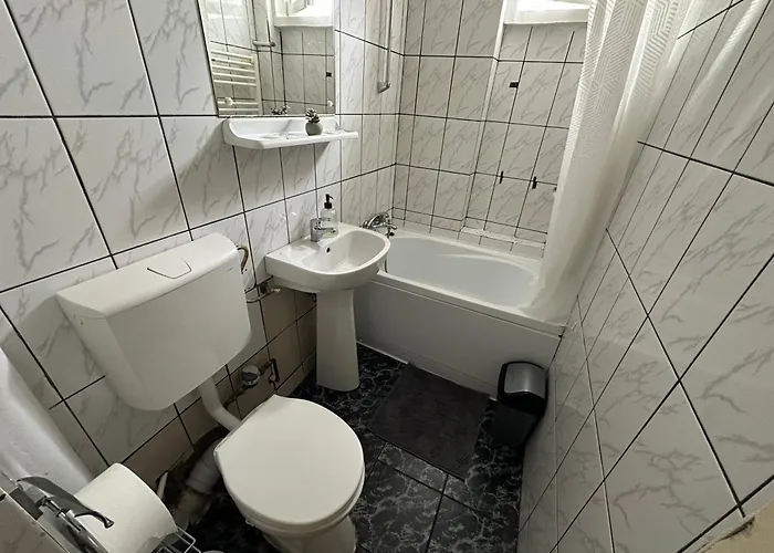 公寓 Planet Nine 蒂米什瓦拉